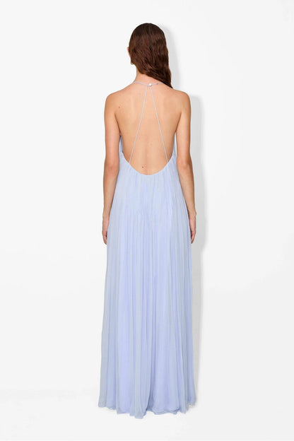 Floral Maxi Dress - Hydrangea Print