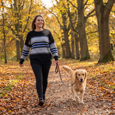 Striped Round Neck Knitted Jumper - autumn park path