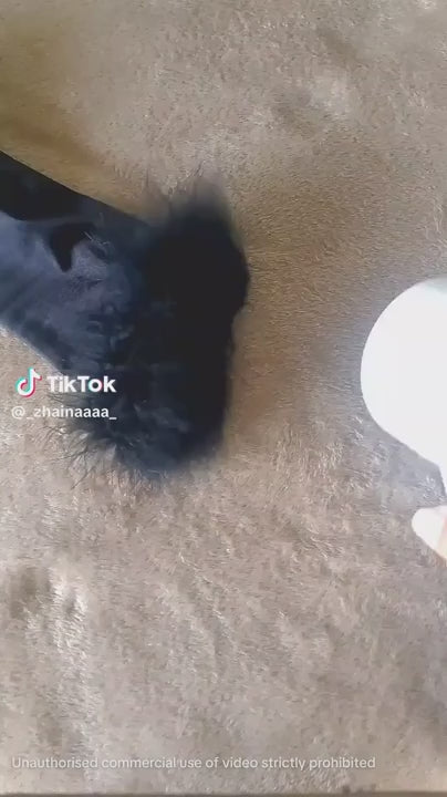Customer video